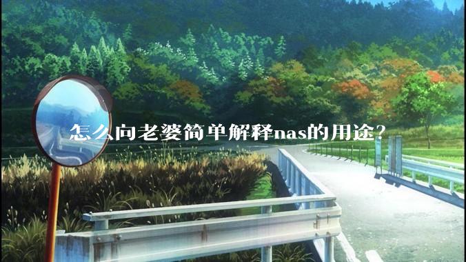 怎么向老婆简单解释nas的用途?