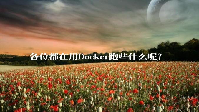 各位都在用Docker跑些什么呢?