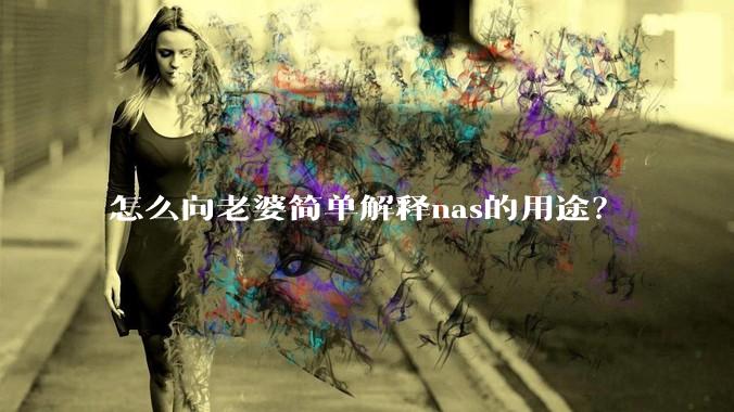 怎么向老婆简单解释nas的用途?